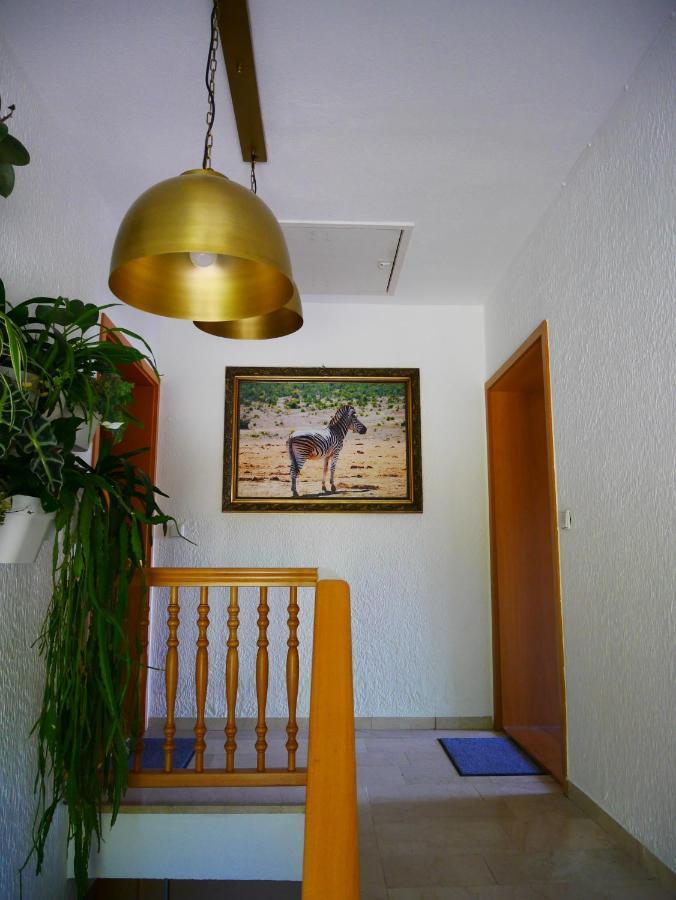 Zell Ferienwohnung Eichkatzel מראה חיצוני תמונה