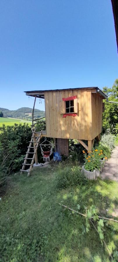 Zell Ferienwohnung Eichkatzel מראה חיצוני תמונה